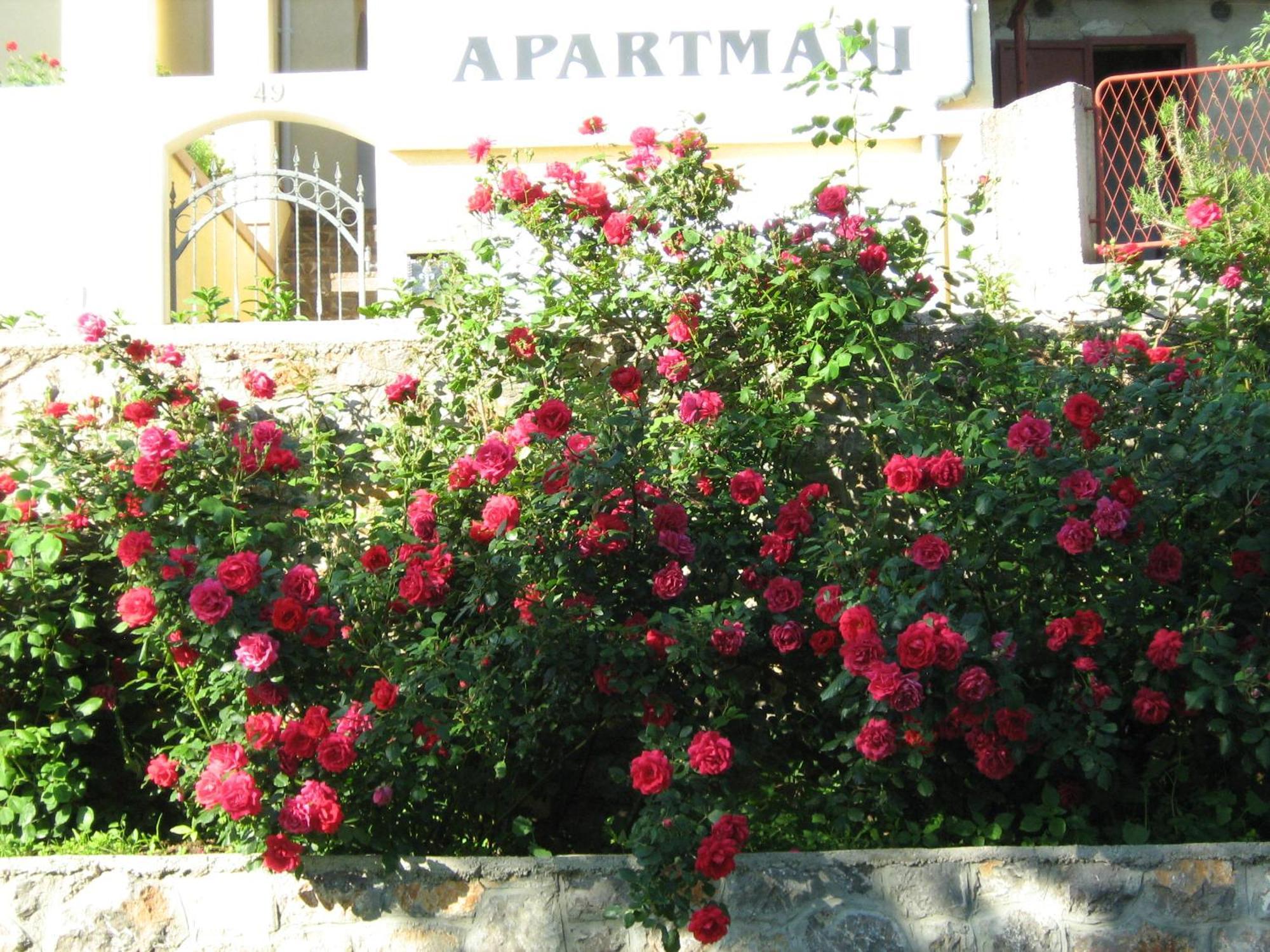 Apartments Laura เซนญ์ ภายนอก รูปภาพ